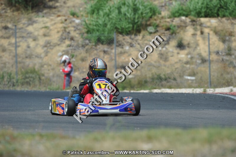 DSC (3109).JPG